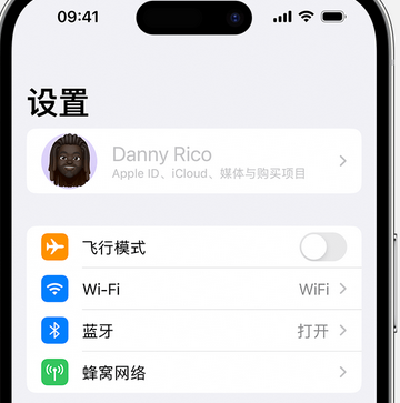 云和appleID维修服务iPhone设置中Apple ID显示为灰色无法使用 