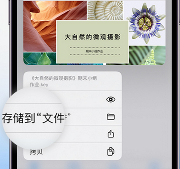 云和apple维修中心分享iPhone文件应用中存储和找到下载文件