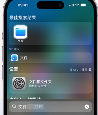 云和apple维修中心分享iPhone文件应用中存储和找到下载文件 