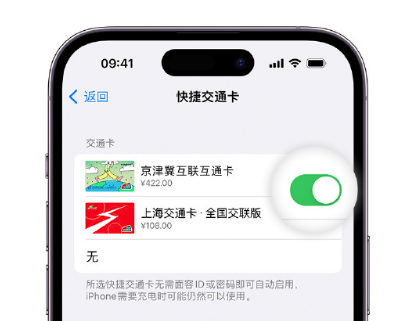 云和apple维修点分享iPhone上更换Apple Pay快捷交通卡手绘卡面 