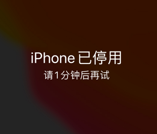 云和苹果手机维修分享:iPhone 显示“不可用”或“已停用”怎么办？还能保留数据吗？ 