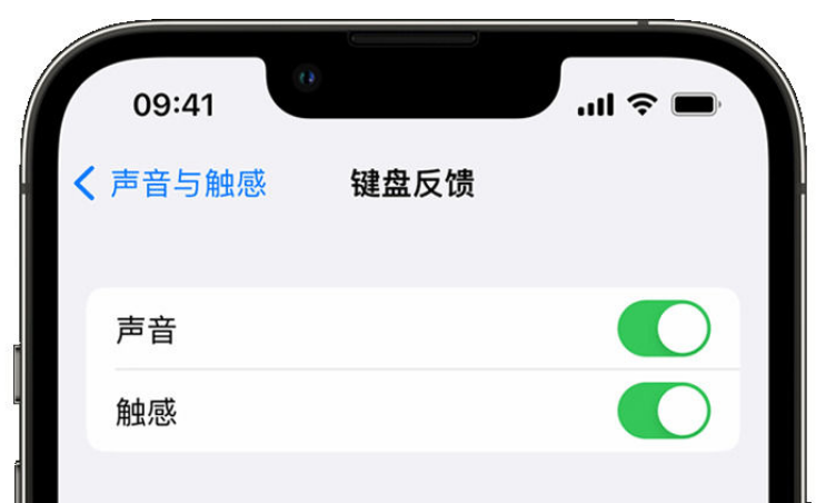 云和苹果手机维修分享iPhone 14触感键盘使用方法 