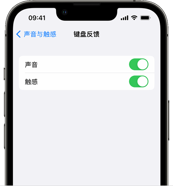 云和苹果14维修店分享如何在 iPhone 14 机型中使用触感键盘 