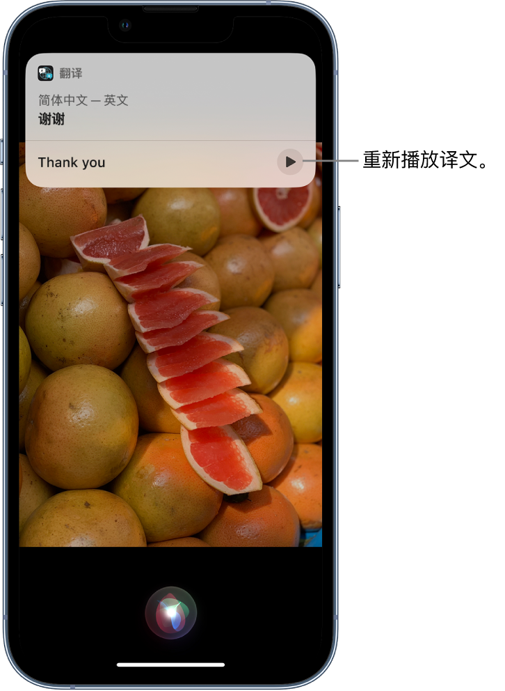 云和苹果14维修分享 iPhone 14 机型中使用 Siri：了解 Siri 能帮你做什么 