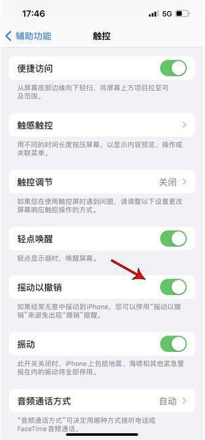 云和苹果手机维修分享iPhone手机如何设置摇一摇删除文字 