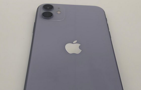 云和苹果11系统维修分享iPhone11手机系统崩溃无法开机如何解决