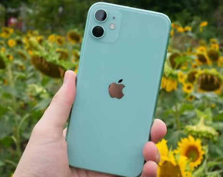 云和苹果维修点分享iPhone 11锁屏密码认知与使用科普 